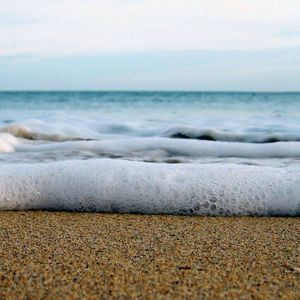 Meet your Posher, Penny